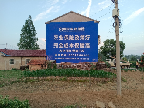 湘阴墙体广告为何受追捧？